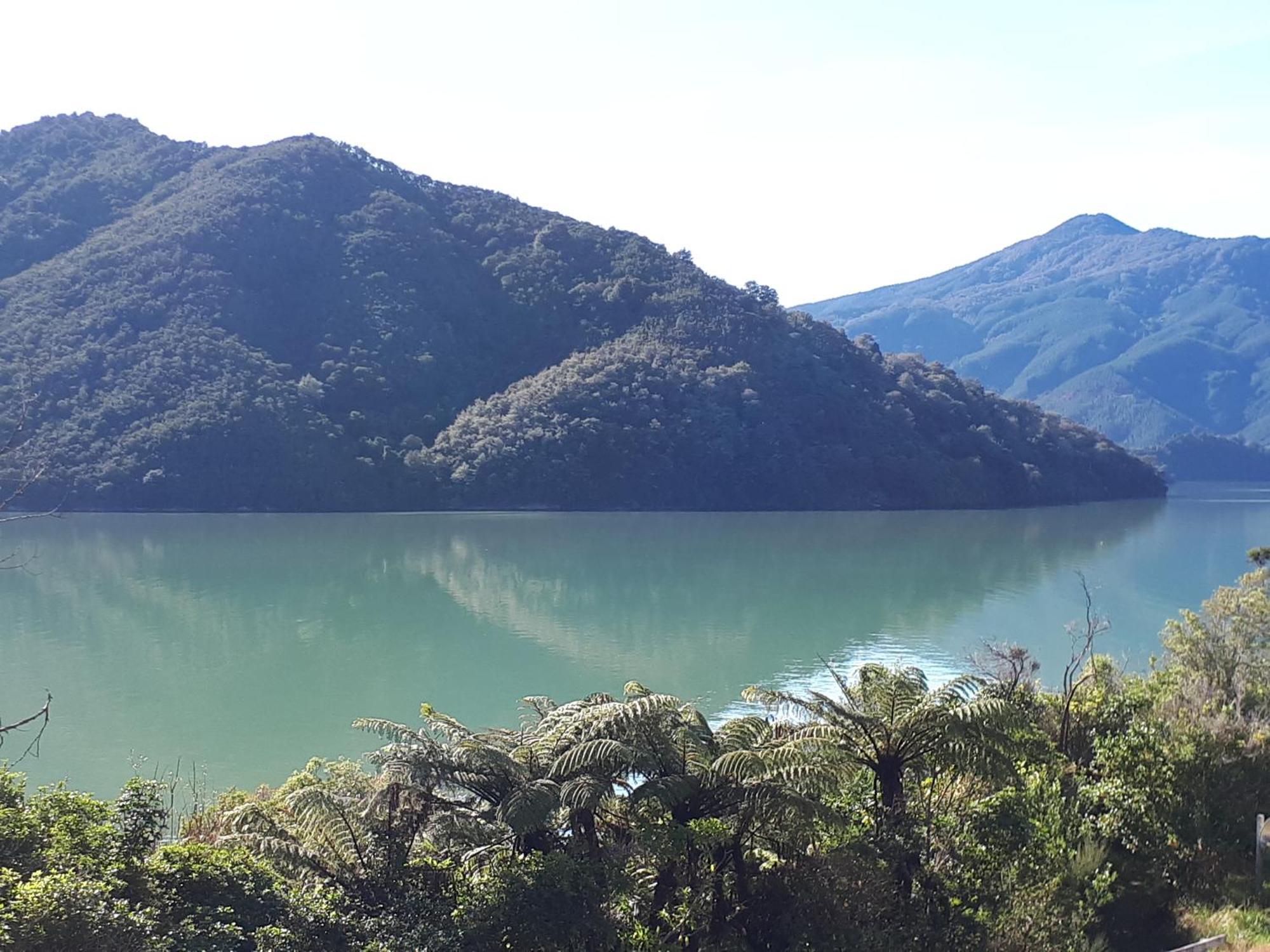Marlborough Sounds Accommodation Havelock Ngoại thất bức ảnh