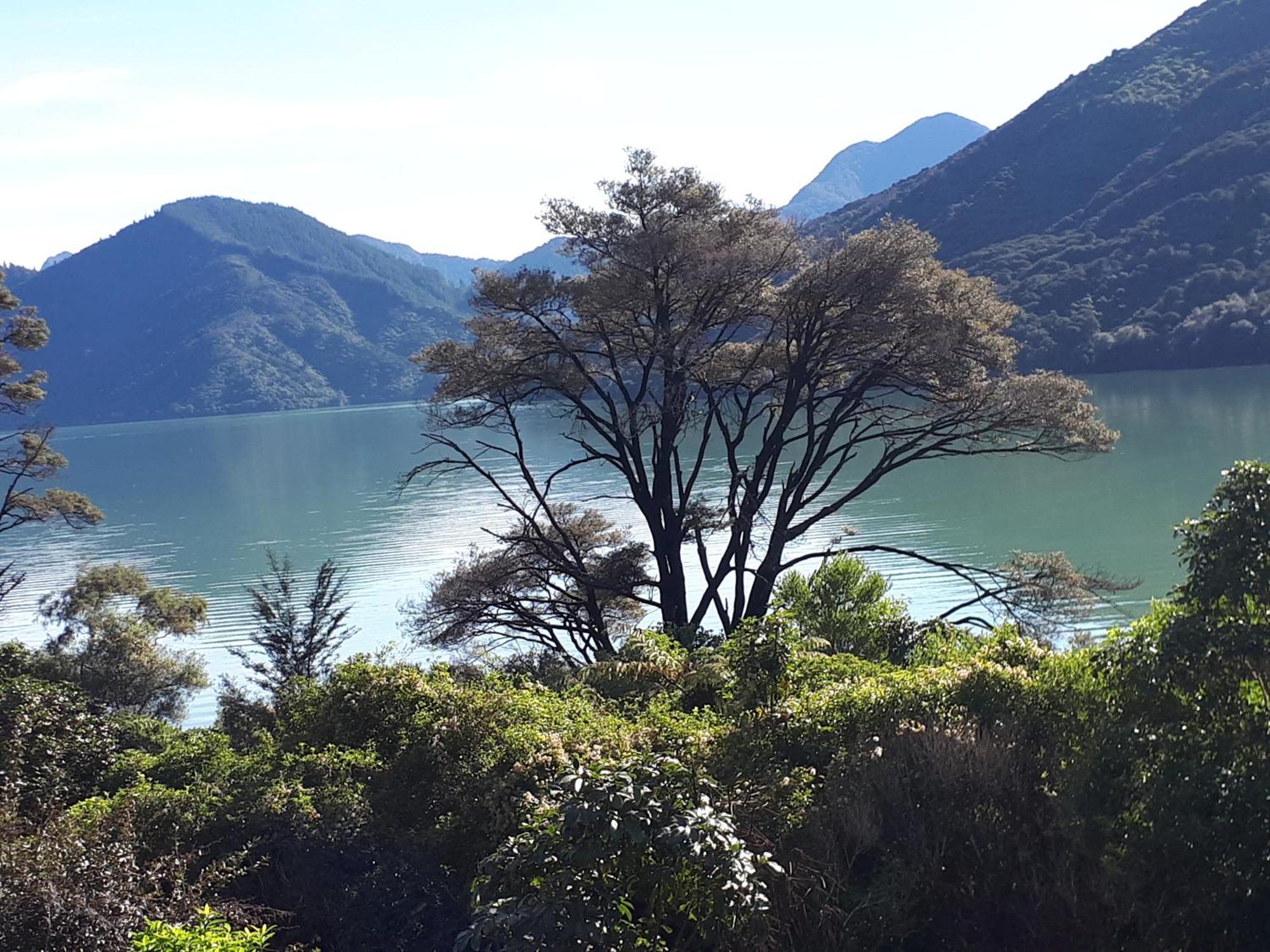 Marlborough Sounds Accommodation Havelock Ngoại thất bức ảnh