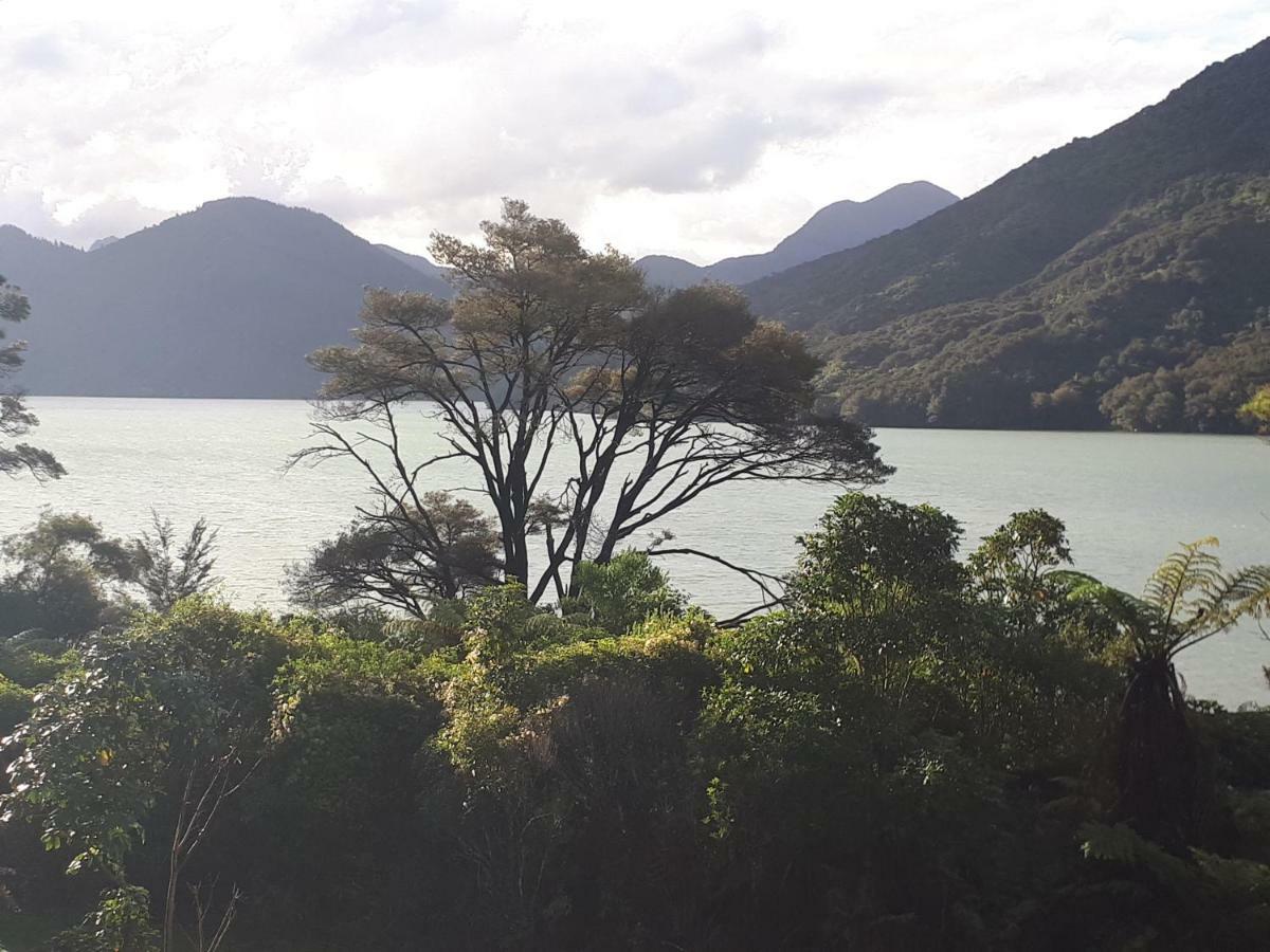 Marlborough Sounds Accommodation Havelock Ngoại thất bức ảnh